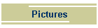 Pictures